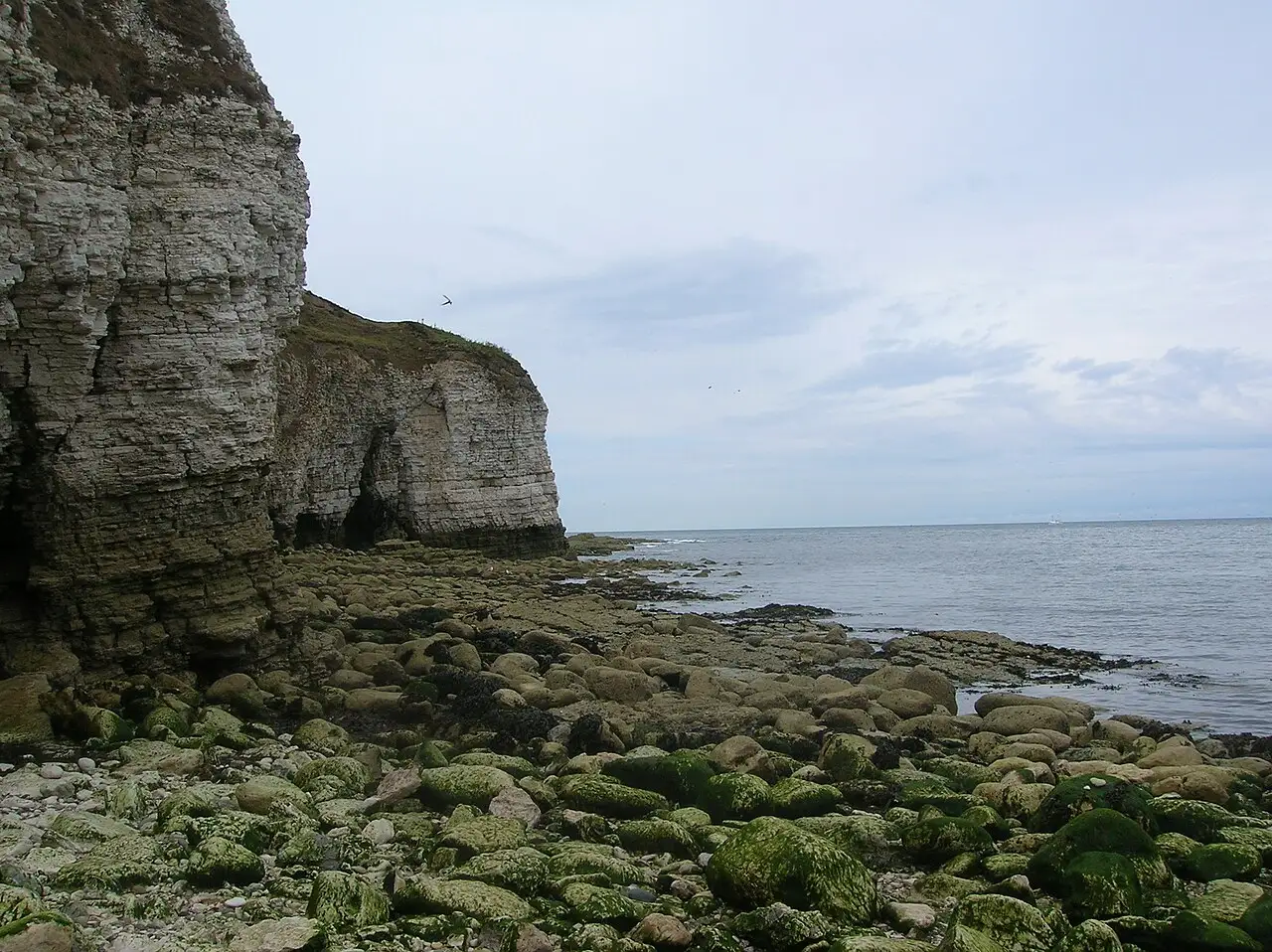 East Yorkshire & Hull — Cliffs at Flamborough Head